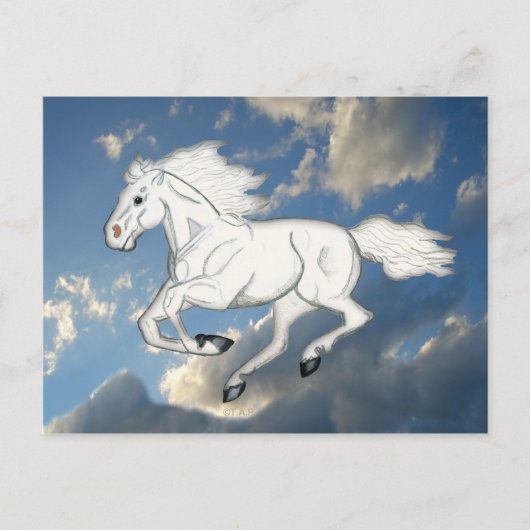 Carte postale Sky Horse Blanc (Devant)