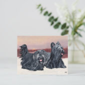 Carte Postale Skye Terriers marche au coucher du soleil (Debout devant)