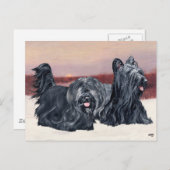 Carte Postale Skye Terriers marche au coucher du soleil (Devant / Derrière)