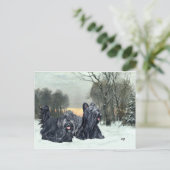Carte Postale Skye Terriers Snowset (Debout devant)