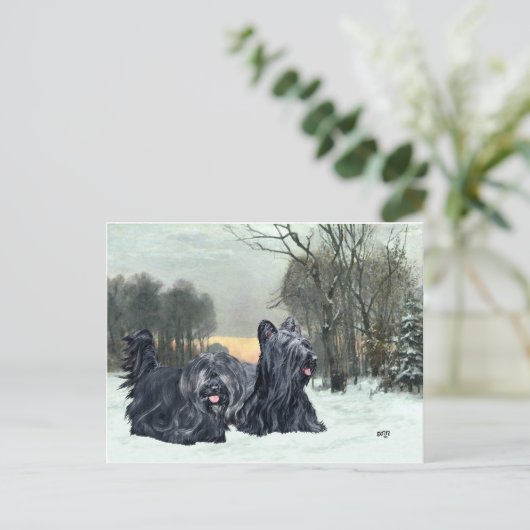 Carte Postale Skye Terriers Snowset (Debout devant)