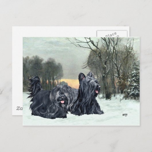 Carte Postale Skye Terriers Snowset (Devant / Derrière)