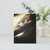 Carte Postale Skylight (Debout devant)