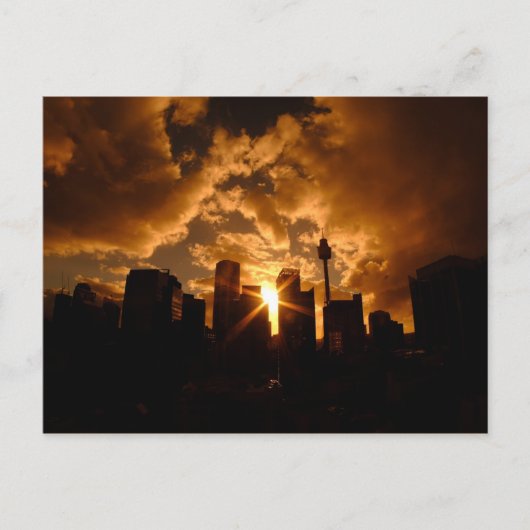 Carte Postale Skyline de Sydney la nuit (Devant)