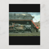 Carte Postale Skyliner construit aux États-Unis pose pour les Tr (Devant)