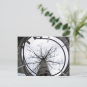 Carte Postale Sky's The Limit Postcard (Debout devant)