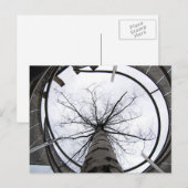 Carte Postale Sky's The Limit Postcard (Devant / Derrière)
