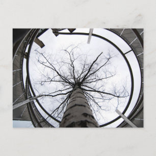 Carte Postale Sky's The Limit Postcard