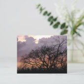 Carte postale Skyscape Branches (Debout devant)