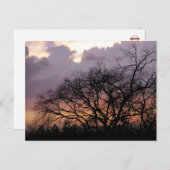 Carte postale Skyscape Branches (Devant / Derrière)