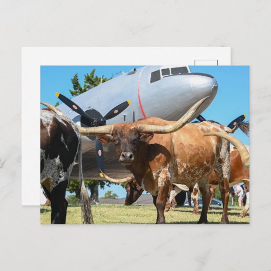 Carte Postale Skytrain C-47 Texas (Devant / Derrière)