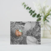 Carte postale Sleepin' Robins 2 (Debout devant)