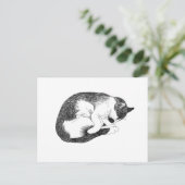 Carte Postale Sleeping Cat – Gentle Reminder to Rest (Debout devant)
