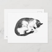 Carte Postale Sleeping Cat – Gentle Reminder to Rest (Devant / Derrière)