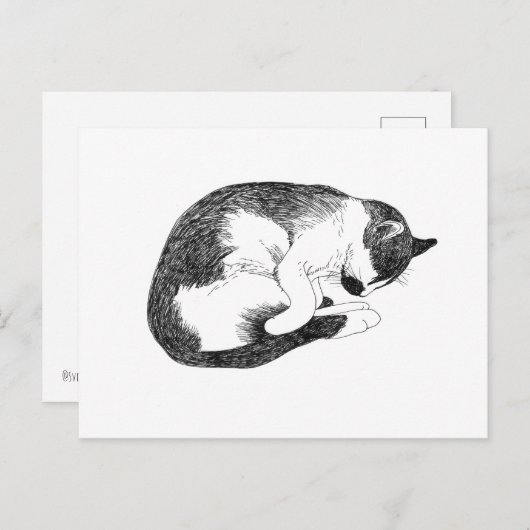 Carte Postale Sleeping Cat – Gentle Reminder to Rest (Devant / Derrière)
