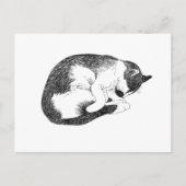 Carte Postale Sleeping Cat – Gentle Reminder to Rest (Devant)