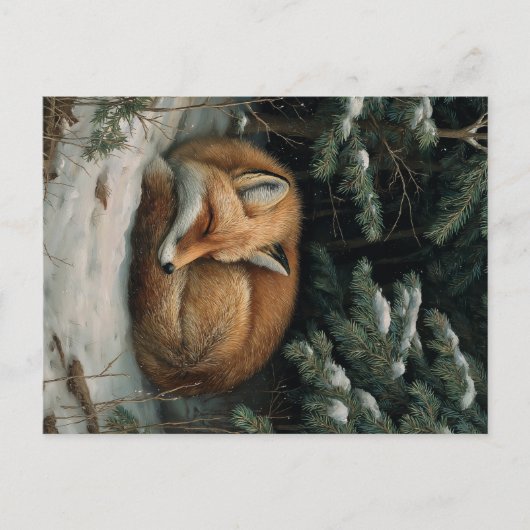 Carte Postale Sleeping Fox in Winter Forest (Devant)