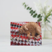 Carte Postale Sleepy Ginger Kitty on a red quilt (Debout devant)
