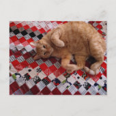 Carte Postale Sleepy Ginger Kitty on a red quilt (Devant)
