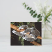 Carte Postale Sleepy Koala (Debout devant)