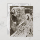 Carte Postale Sleepy Koala Yawning (Devant / Derrière)