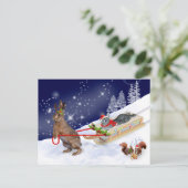 Carte postale Sleigh Ride (Debout devant)