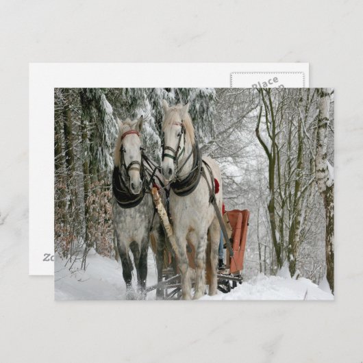 Carte Postale Sleigh Ride (Devant / Derrière)