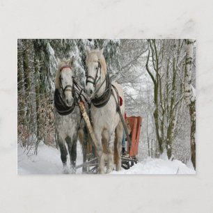 Carte Postale Sleigh Ride