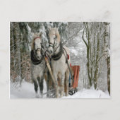 Carte Postale Sleigh Ride (Devant)