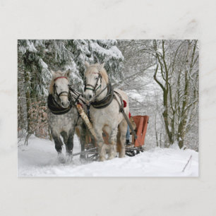 Carte Postale Sleigh Ride in the Snowy Forest
