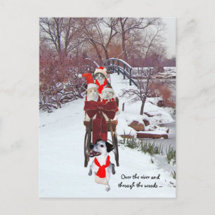 Carte Postale Sleigh Ride Kitties