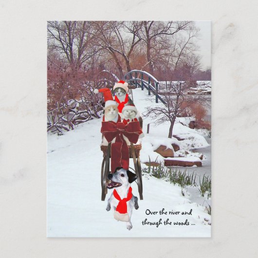 Carte Postale Sleigh Ride Kitties (Devant)