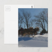 Carte Postale Sleigh ride Stowe Vermont (Devant / Derrière)