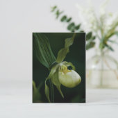 Carte postale Slipper Jaune (Debout devant)
