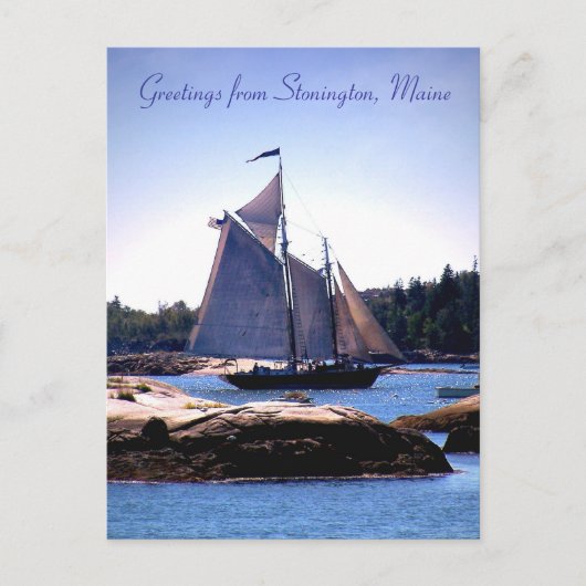 Carte Postale Sloop dans le port de Stonington (Devant)