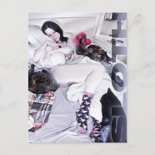 Carte Postale Sloth (Devant)