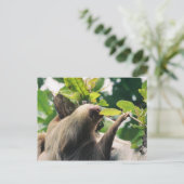 Carte Postale Sloth (Debout devant)