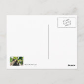 Carte Postale Sloth (Dos)