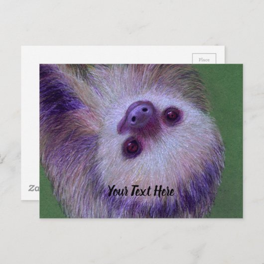Carte Postale Sloth (Devant / Derrière)