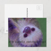 Carte Postale Sloth (Devant / Derrière)