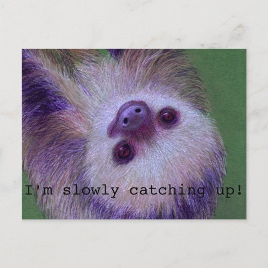 Carte Postale Sloth (Devant)