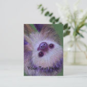 Carte Postale Sloth (Debout devant)