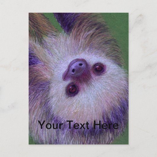 Carte Postale Sloth (Devant)