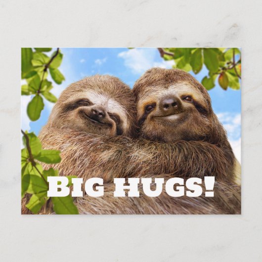 Carte Postale Sloth Couple (Devant)