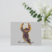 Carte Postale Sloth Hanging Out Thunder_Cove (Debout devant)