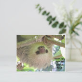 Carte Postale Sloth pendu autour du Costa Rica (Debout devant)
