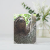 Carte Postale Sloth Photo Design (Debout devant)