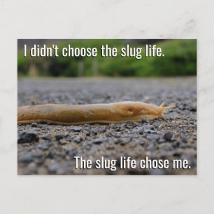 Carte postale Slug Life