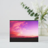 Carte postale Slushpuppys Photographie (Debout devant)