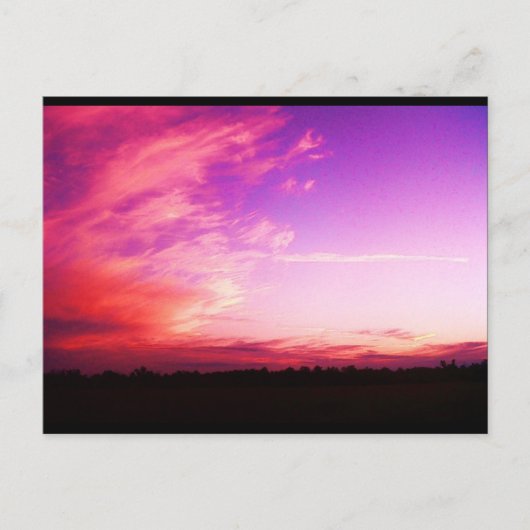 Carte postale Slushpuppys Photographie (Devant)